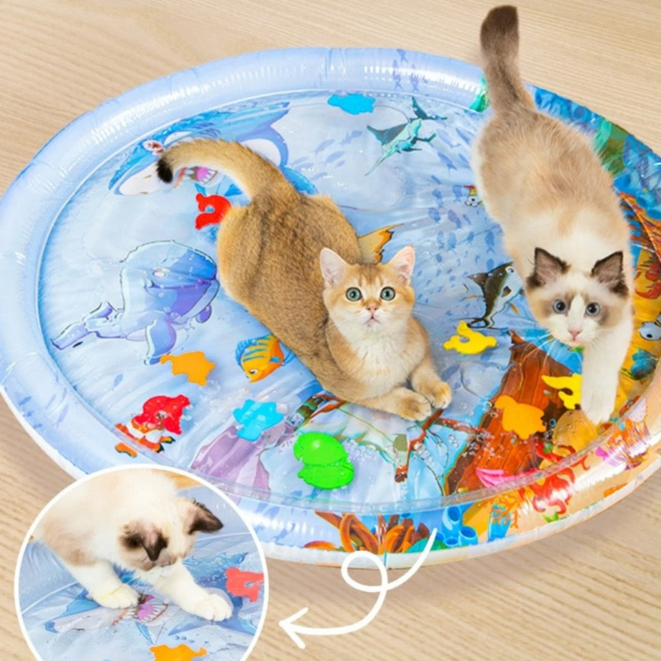 PET INFLATABLE WATER PLAY MAT