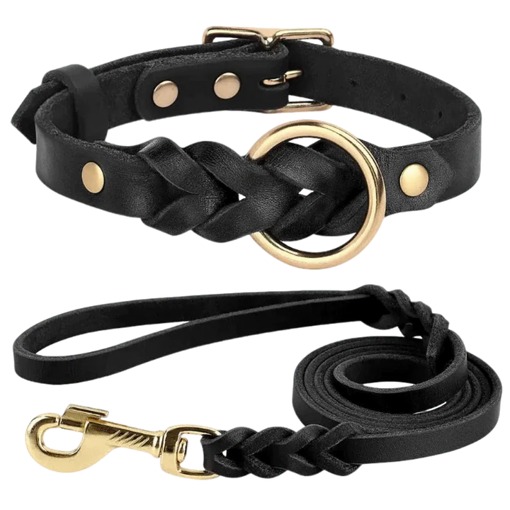 AUTHENTIC LEATHER CANINE COLLAR AND LEASH